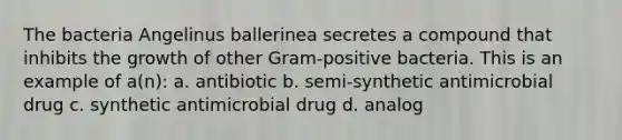 The bacteria Angelinus ballerinea secretes a compound that inhibits the growth of other Gram-positive bacteria. This is an example of a(n): a. antibiotic b. semi-synthetic antimicrobial drug c. synthetic antimicrobial drug d. analog