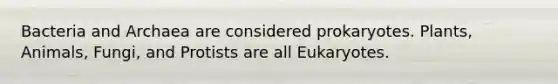 Bacteria and Archaea are considered prokaryotes. Plants, Animals, Fungi, and Protists are all Eukaryotes.