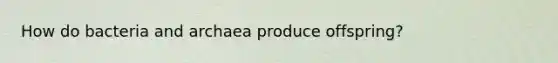 How do bacteria and archaea produce offspring?