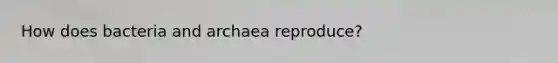 How does bacteria and archaea reproduce?