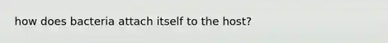 how does bacteria attach itself to the host?