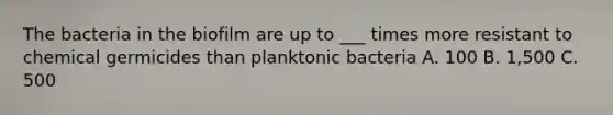 The bacteria in the biofilm are up to ___ times more resistant to chemical germicides than planktonic bacteria A. 100 B. 1,500 C. 500