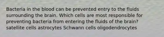 Bacteria in the blood can be prevented entry to the fluids surrounding the brain. Which cells are most responsible for preventing bacteria from entering the fluids of the brain? satellite cells astrocytes Schwann cells oligodendrocytes