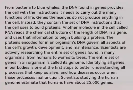 From bacteria to blue whales, the DNA found in genes provides the cell with the instructions it needs to carry out the many functions of life. Genes themselves do not produce anything in the cell. Instead, they contain the set of DNA instructions that the cell uses to build proteins. Another molecule in the cell called RNA reads the chemical structure of the length of DNA in a gene, and uses that information to begin building a protein. The proteins encoded for in an organism's DNA govern all aspects of the cell's growth, development, and maintenance. Scientists are actively researching the entire set of genes found in many organisms, from humans to worms to trees. The entire set of genes in an organism is called its genome. Identifying all genes in our bodies is one of the first steps to better understanding all processes that keep us alive, and how diseases occur when those processes malfunction. Scientists studying the human genome estimate that humans have about 25,000 genes.