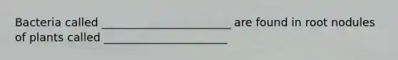 Bacteria called _______________________ are found in root nodules of plants called ______________________