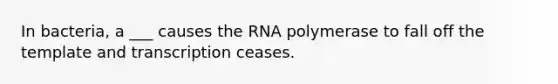 In bacteria, a ___ causes the RNA polymerase to fall off the template and transcription ceases.