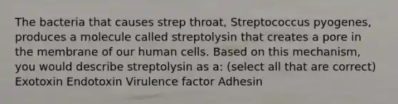 The bacteria that causes strep throat, Streptococcus pyogenes, produces a molecule called streptolysin that creates a pore in the membrane of our human cells. Based on this mechanism, you would describe streptolysin as a: (select all that are correct) Exotoxin Endotoxin Virulence factor Adhesin