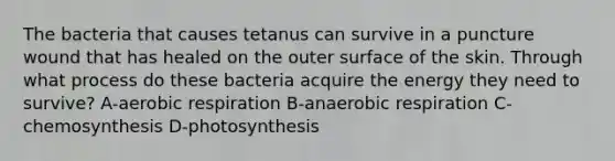 The bacteria that causes tetanus can survive in a puncture wound that has healed on the outer surface of the skin. Through what process do these bacteria acquire the energy they need to survive? A-aerobic respiration B-anaerobic respiration C-chemosynthesis D-photosynthesis