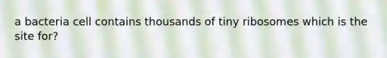 a bacteria cell contains thousands of tiny ribosomes which is the site for?