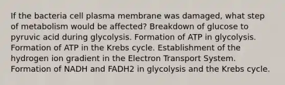 If the bacteria cell plasma membrane was damaged, what step of metabolism would be affected? Breakdown of glucose to pyruvic acid during glycolysis. Formation of ATP in glycolysis. Formation of ATP in the Krebs cycle. Establishment of the hydrogen ion gradient in the Electron Transport System. Formation of NADH and FADH2 in glycolysis and the Krebs cycle.