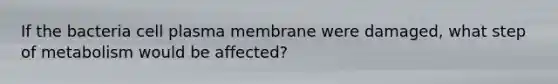 If the bacteria cell plasma membrane were damaged, what step of metabolism would be affected?