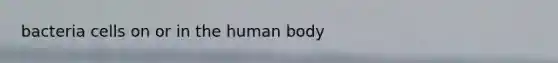 bacteria cells on or in the human body