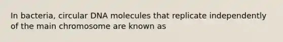 In bacteria, circular DNA molecules that replicate independently of the main chromosome are known as