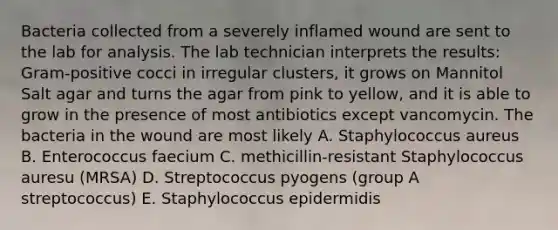 Bacteria collected from a severely inflamed wound are sent to the lab for analysis. The lab technician interprets the results: Gram-positive cocci in irregular clusters, it grows on Mannitol Salt agar and turns the agar from pink to yellow, and it is able to grow in the presence of most antibiotics except vancomycin. The bacteria in the wound are most likely A. Staphylococcus aureus B. Enterococcus faecium C. methicillin-resistant Staphylococcus auresu (MRSA) D. Streptococcus pyogens (group A streptococcus) E. Staphylococcus epidermidis