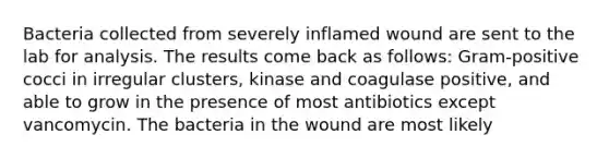 Bacteria collected from severely inflamed wound are sent to the lab for analysis. The results come back as follows: Gram-positive cocci in irregular clusters, kinase and coagulase positive, and able to grow in the presence of most antibiotics except vancomycin. The bacteria in the wound are most likely