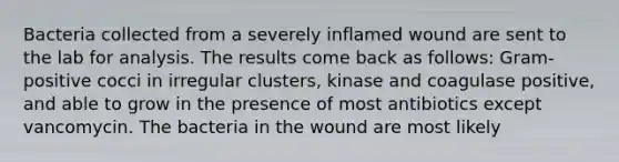 Bacteria collected from a severely inflamed wound are sent to the lab for analysis. The results come back as follows: Gram-positive cocci in irregular clusters, kinase and coagulase positive, and able to grow in the presence of most antibiotics except vancomycin. The bacteria in the wound are most likely