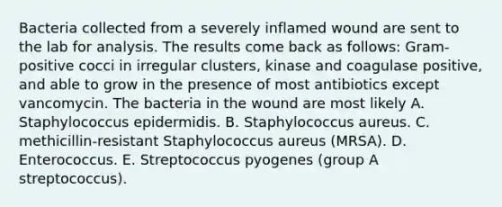 Bacteria collected from a severely inflamed wound are sent to the lab for analysis. The results come back as follows: Gram-positive cocci in irregular clusters, kinase and coagulase positive, and able to grow in the presence of most antibiotics except vancomycin. The bacteria in the wound are most likely A. Staphylococcus epidermidis. B. Staphylococcus aureus. C. methicillin-resistant Staphylococcus aureus (MRSA). D. Enterococcus. E. Streptococcus pyogenes (group A streptococcus).