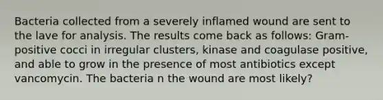 Bacteria collected from a severely inflamed wound are sent to the lave for analysis. The results come back as follows: Gram-positive cocci in irregular clusters, kinase and coagulase positive, and able to grow in the presence of most antibiotics except vancomycin. The bacteria n the wound are most likely?