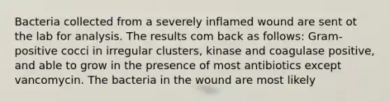 Bacteria collected from a severely inflamed wound are sent ot the lab for analysis. The results com back as follows: Gram- positive cocci in irregular clusters, kinase and coagulase positive, and able to grow in the presence of most antibiotics except vancomycin. The bacteria in the wound are most likely