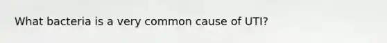 What bacteria is a very common cause of UTI?