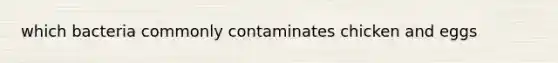 which bacteria commonly contaminates chicken and eggs