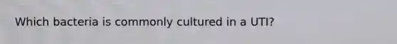 Which bacteria is commonly cultured in a UTI?