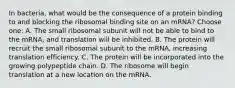 In bacteria, what would be the consequence of a protein binding to and blocking the ribosomal binding site on an mRNA? Choose one: A. The small ribosomal subunit will not be able to bind to the mRNA, and translation will be inhibited. B. The protein will recruit the small ribosomal subunit to the mRNA, increasing translation efficiency. C. The protein will be incorporated into the growing polypeptide chain. D. The ribosome will begin translation at a new location on the mRNA.