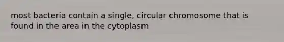 most bacteria contain a single, circular chromosome that is found in the area in the cytoplasm