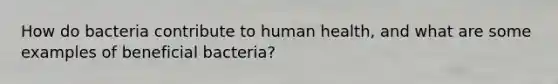 How do bacteria contribute to human health, and what are some examples of beneficial bacteria?