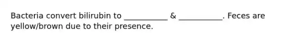 Bacteria convert bilirubin to ___________ & ___________. Feces are yellow/brown due to their presence.