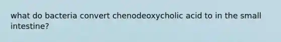 what do bacteria convert chenodeoxycholic acid to in the small intestine?