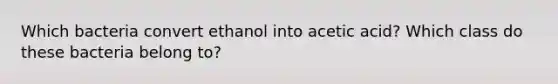 Which bacteria convert ethanol into acetic acid? Which class do these bacteria belong to?