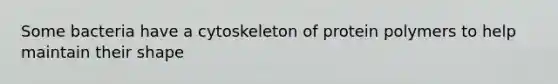 Some bacteria have a cytoskeleton of protein polymers to help maintain their shape