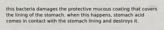 this bacteria damages the protective mucous coating that covers the lining of <a href='https://www.questionai.com/knowledge/kLccSGjkt8-the-stomach' class='anchor-knowledge'>the stomach</a>. when this happens, stomach acid comes in contact with the stomach lining and destroys it.