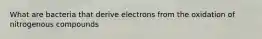 What are bacteria that derive electrons from the oxidation of nitrogenous compounds