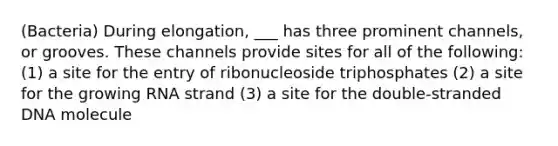 (Bacteria) During elongation, ___ has three prominent channels, or grooves. These channels provide sites for all of the following: (1) a site for the entry of ribonucleoside triphosphates (2) a site for the growing RNA strand (3) a site for the double-stranded DNA molecule