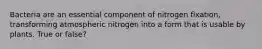 Bacteria are an essential component of nitrogen fixation, transforming atmospheric nitrogen into a form that is usable by plants. True or false?