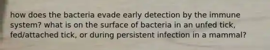 how does the bacteria evade early detection by the immune system? what is on the surface of bacteria in an unfed tick, fed/attached tick, or during persistent infection in a mammal?