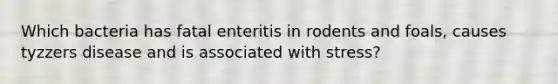 Which bacteria has fatal enteritis in rodents and foals, causes tyzzers disease and is associated with stress?