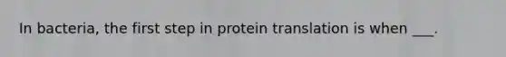 In bacteria, the first step in protein translation is when ___.