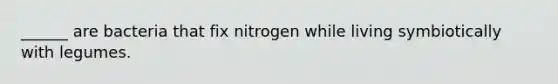 ______ are bacteria that fix nitrogen while living symbiotically with legumes.