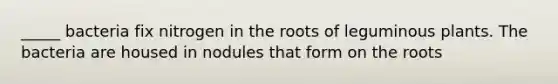 _____ bacteria fix nitrogen in the roots of leguminous plants. The bacteria are housed in nodules that form on the roots