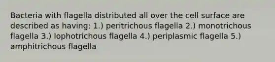 Bacteria with flagella distributed all over the cell surface are described as having: 1.) peritrichous flagella 2.) monotrichous flagella 3.) lophotrichous flagella 4.) periplasmic flagella 5.) amphitrichous flagella