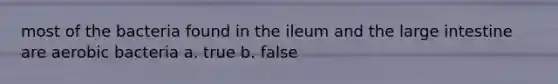 most of the bacteria found in the ileum and the large intestine are aerobic bacteria a. true b. false