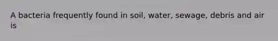 A bacteria frequently found in soil, water, sewage, debris and air is