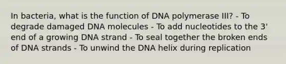 In bacteria, what is the function of DNA polymerase III? - To degrade damaged DNA molecules - To add nucleotides to the 3' end of a growing DNA strand - To seal together the broken ends of DNA strands - To unwind the DNA helix during replication