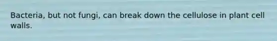 Bacteria, but not fungi, can break down the cellulose in plant cell walls.