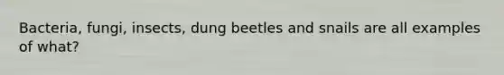 Bacteria, fungi, insects, dung beetles and snails are all examples of what?