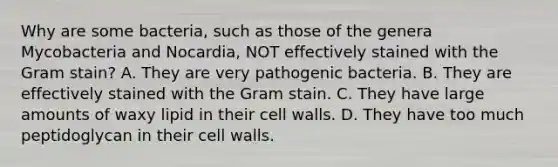 Why are some bacteria, such as those of the genera Mycobacteria and Nocardia, NOT effectively stained with the Gram stain? A. They are very pathogenic bacteria. B. They are effectively stained with the Gram stain. C. They have large amounts of waxy lipid in their cell walls. D. They have too much peptidoglycan in their cell walls.