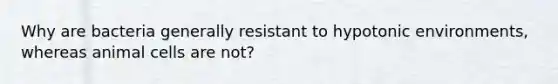 Why are bacteria generally resistant to hypotonic environments, whereas animal cells are not?